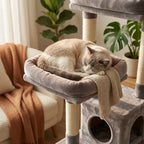Un chat qui dort dans un arbre a chat gris