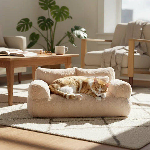 Chat dormant dans un panier pour chat au soleil dans un salon