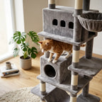 Un chat qui joue dans un arbre a chat gris